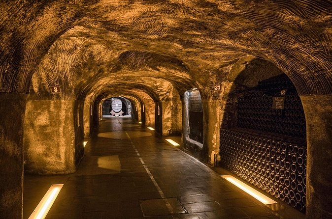 An arched cellar gallery lit along the floor, bottles stacked in the bays