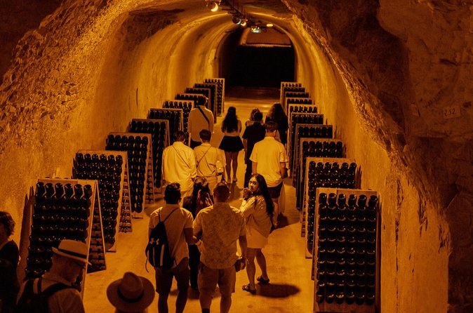 Small-Group Champagne Lunch & Tasting from Paris with Pickup