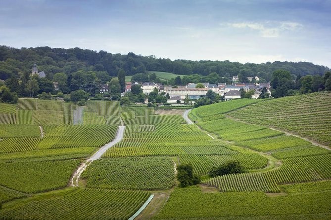 A valley of vineyards with a track between the plots and a village on the wooded ridge