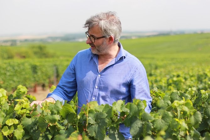 Champagne VIP Day Trip from Paris With Local PRIVATE Wine Expert Guide