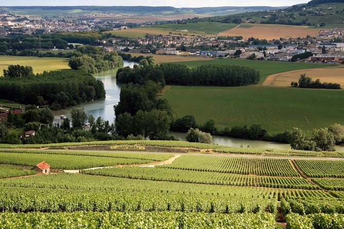The Marne winding through its valley below vineyard slopes, a town along the river