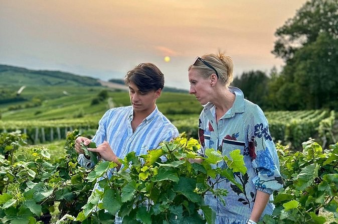 Champagne Private Day trip from Paris with 8 Tastings & Lunch