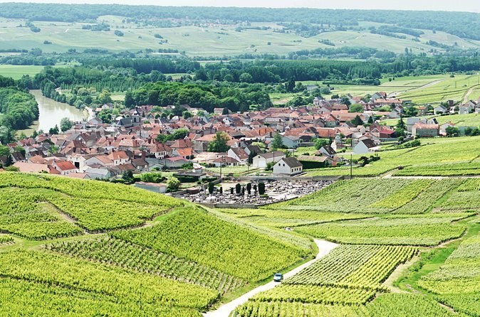 A village of red roofs set among vineyard slopes, seen from above